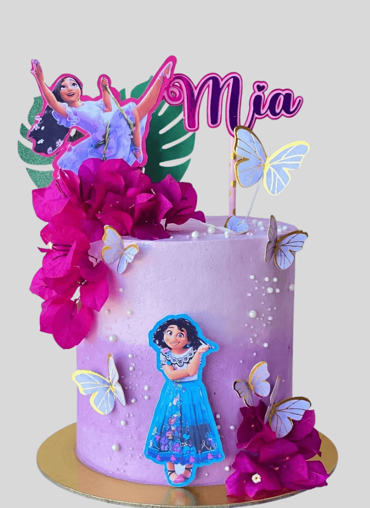 Wonderful Encanto Cake Design