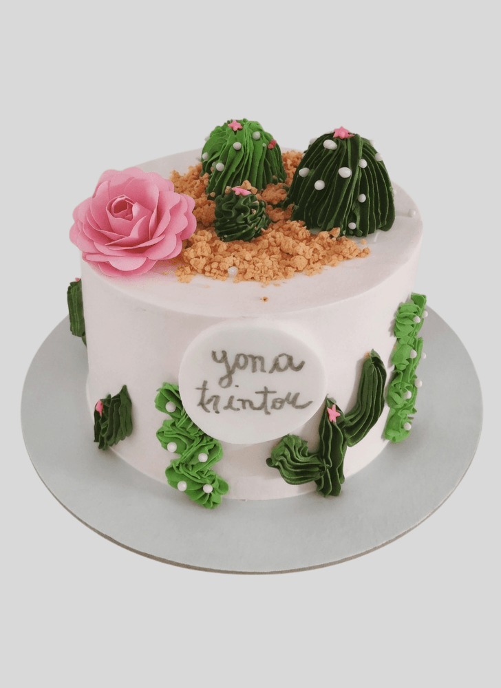 Fetching MAC Cake