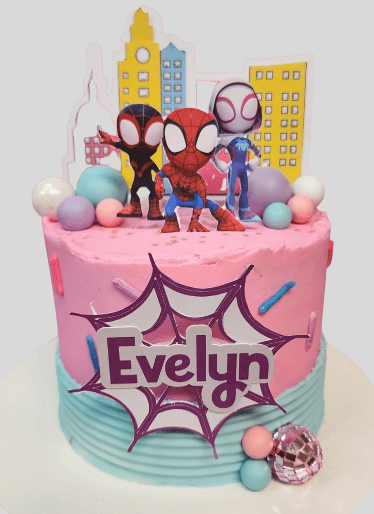Fetching Spider-Verse Cake