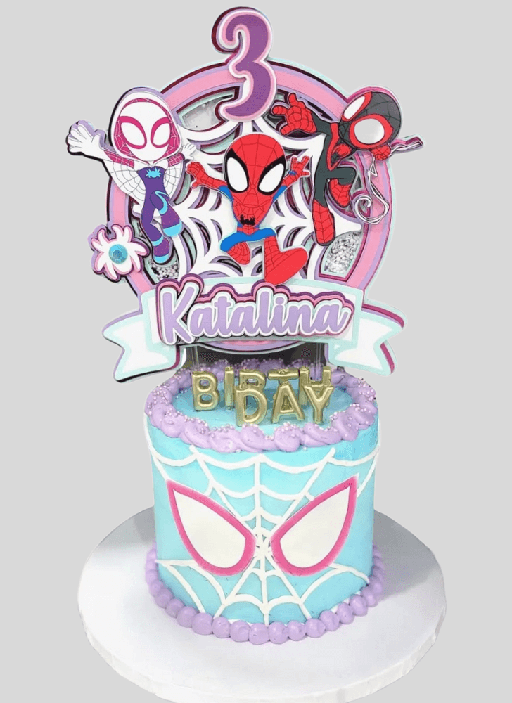 Handsome Spider-Verse Cake
