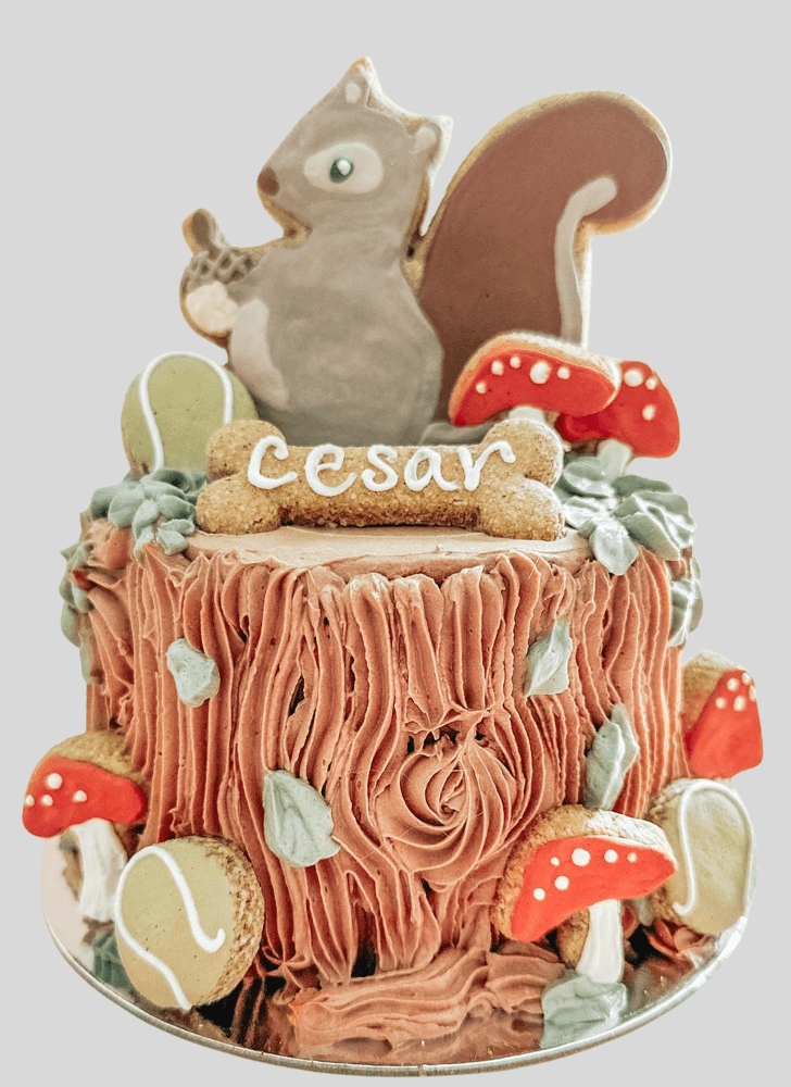 Ideal Squirrels Cake