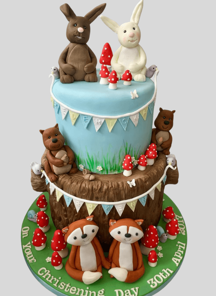 Magnetic Squirrels Cake
