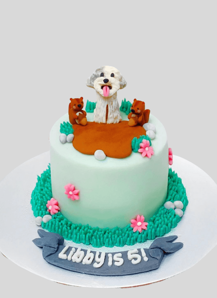 Pleasing Squirrels Cake