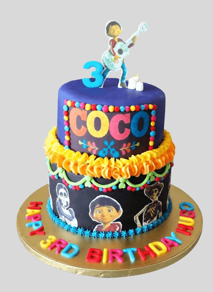Magnetic Coco Cake