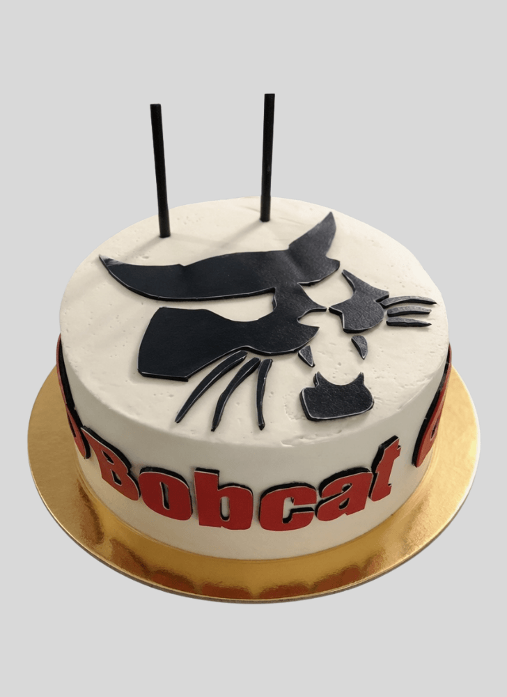 Adorable Bobcat Cake
