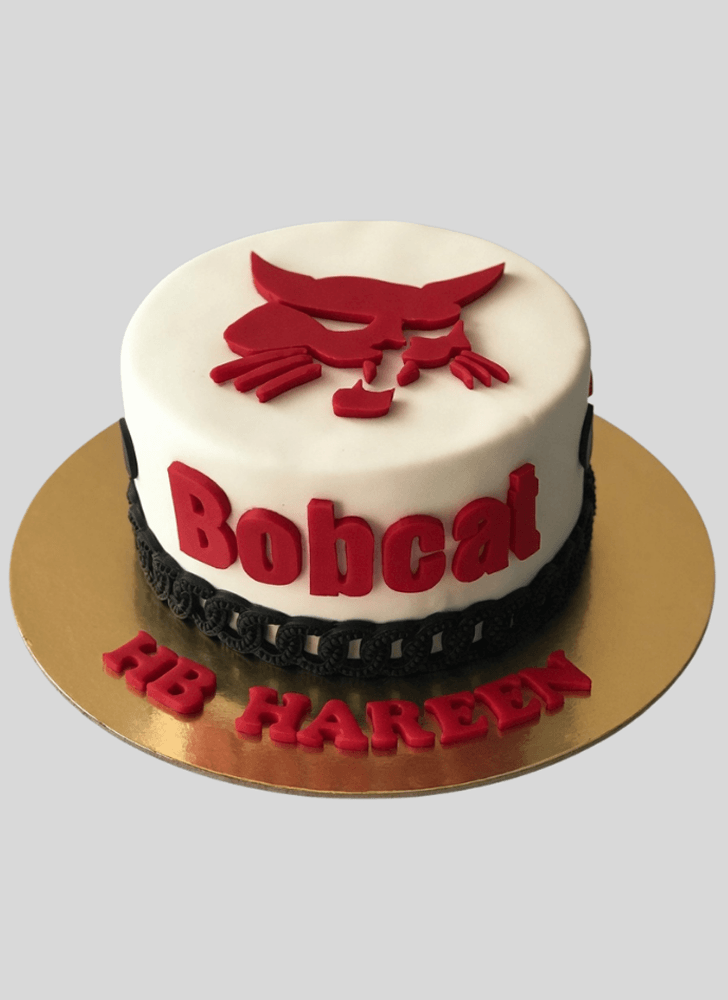 Angelic Bobcat Cake