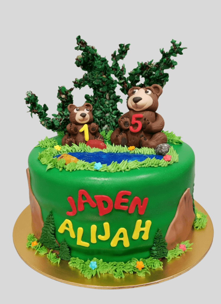 Admirable Brother Bear Cake Design