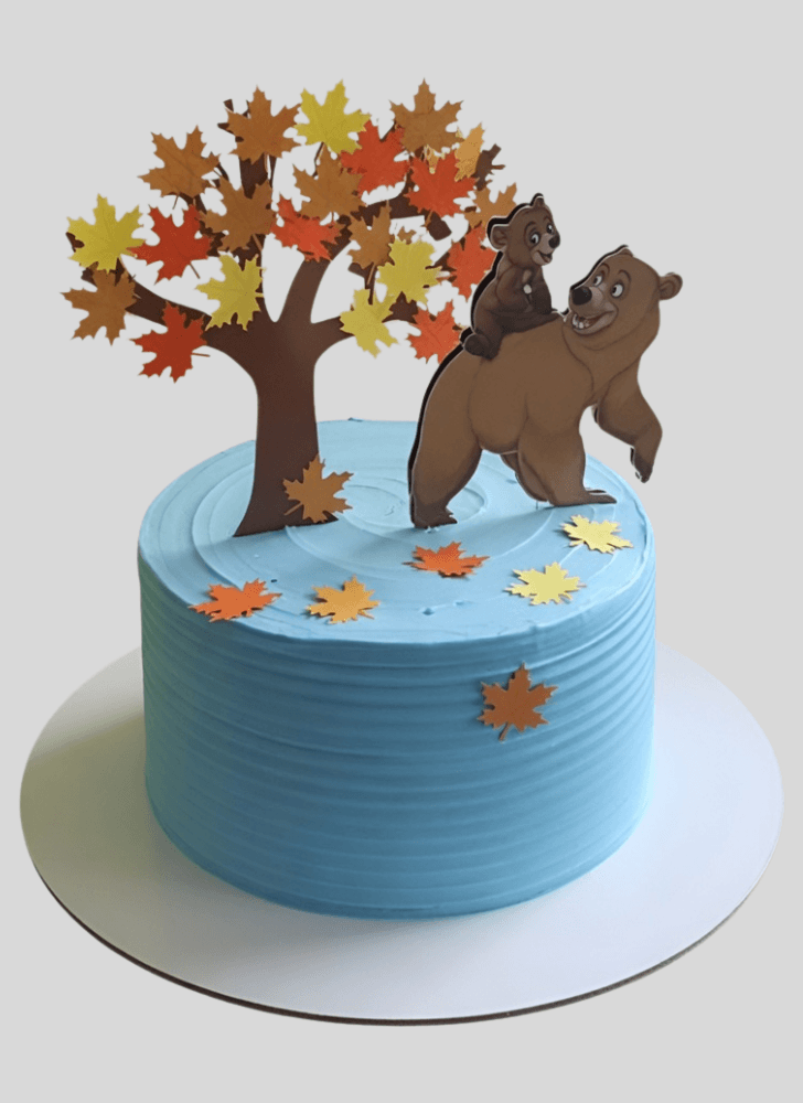 Divine Brother Bear Cake