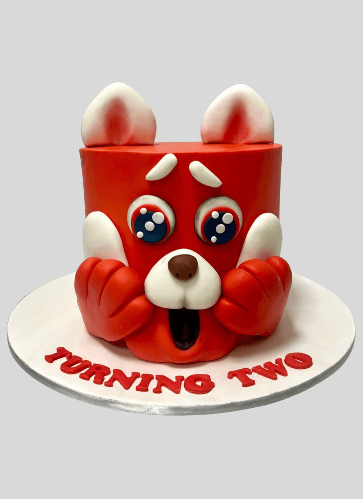 Magnetic Turning Red Cake