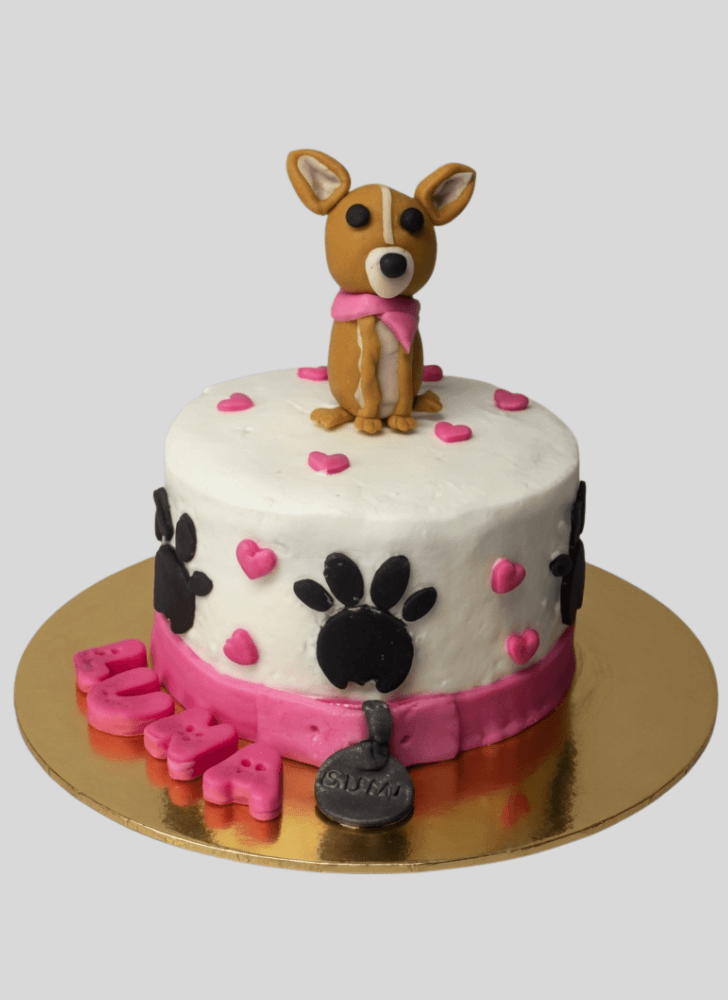 Beauteous Chihuahua Cake