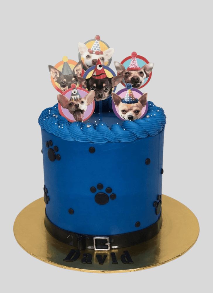 Bewitching Chihuahua Cake
