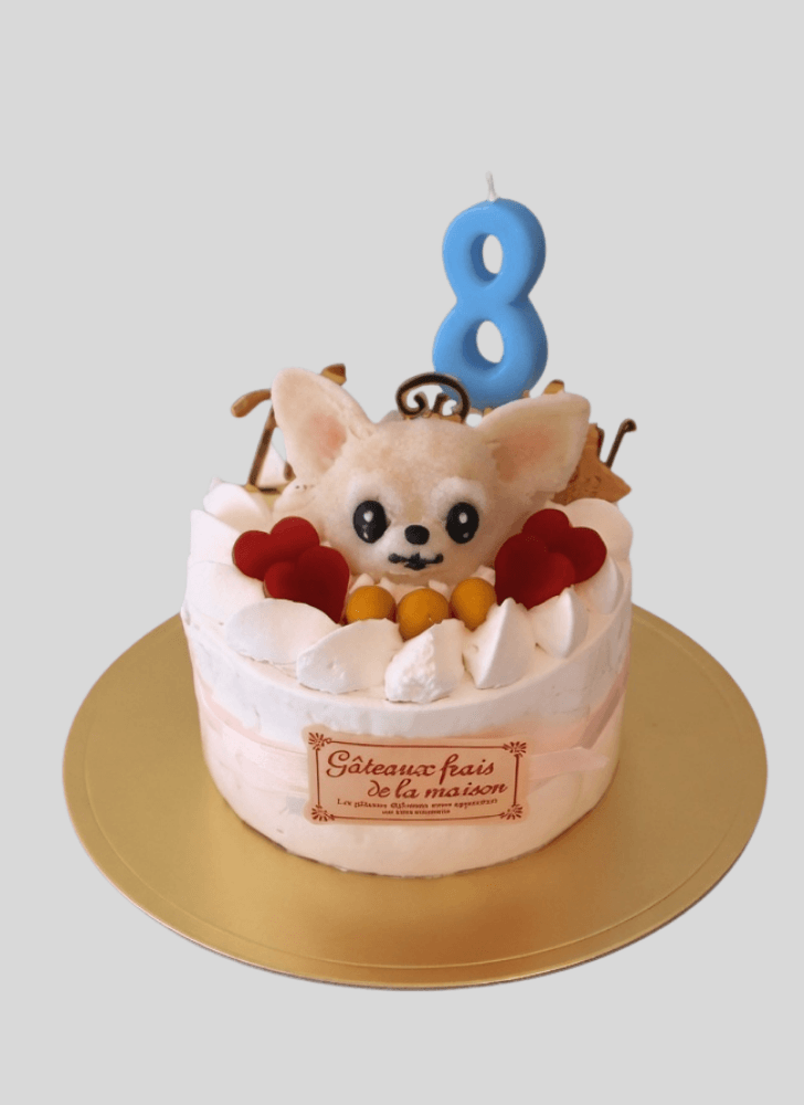 Comely Chihuahua Cake