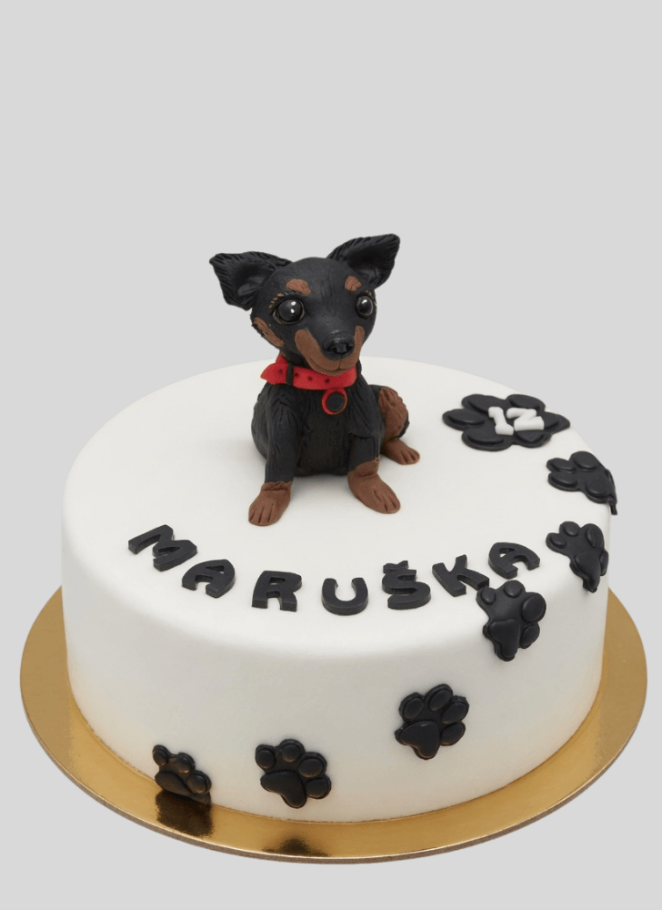 Dazzling Chihuahua Cake