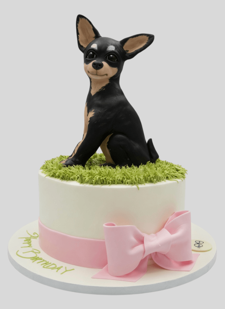 Divine Chihuahua Cake