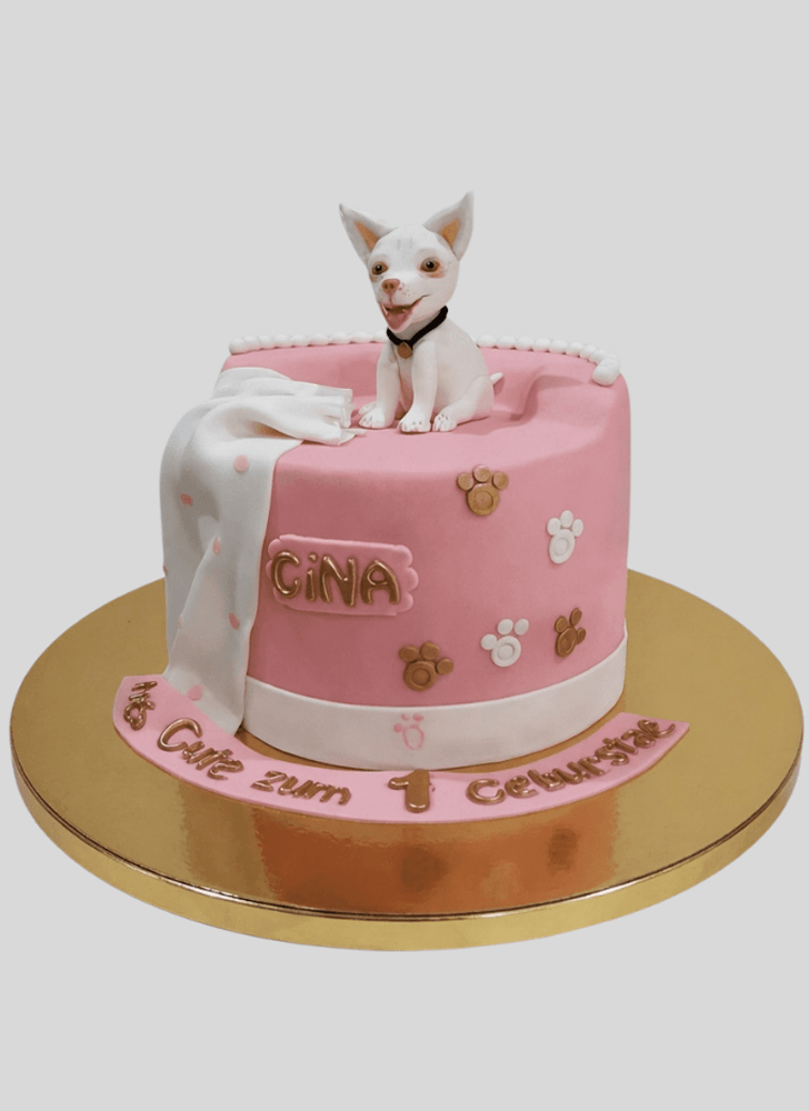 Enticing Chihuahua Cake