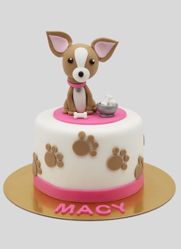 Exquisite Chihuahua Cake