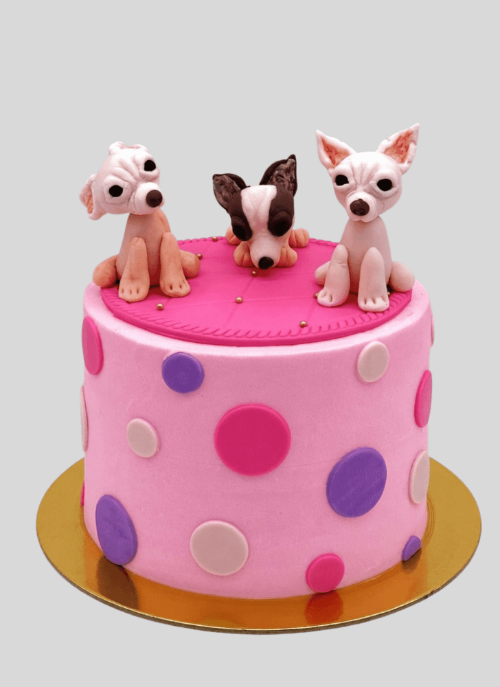 Fair Chihuahua Cake