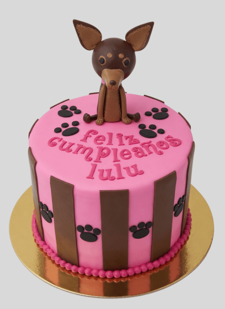 Fascinating Chihuahua Cake