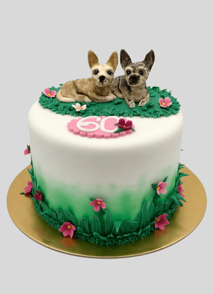 Fetching Chihuahua Cake