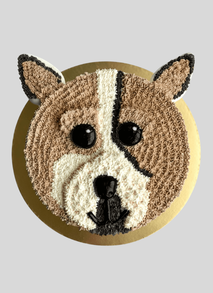 Fine Chihuahua Cake
