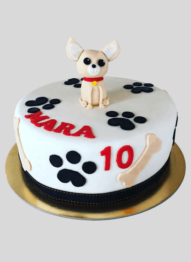 Gorgeous Chihuahua Cake