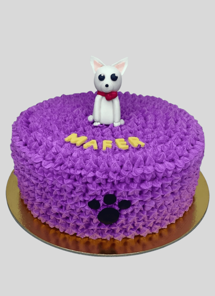 Grand Chihuahua Cake