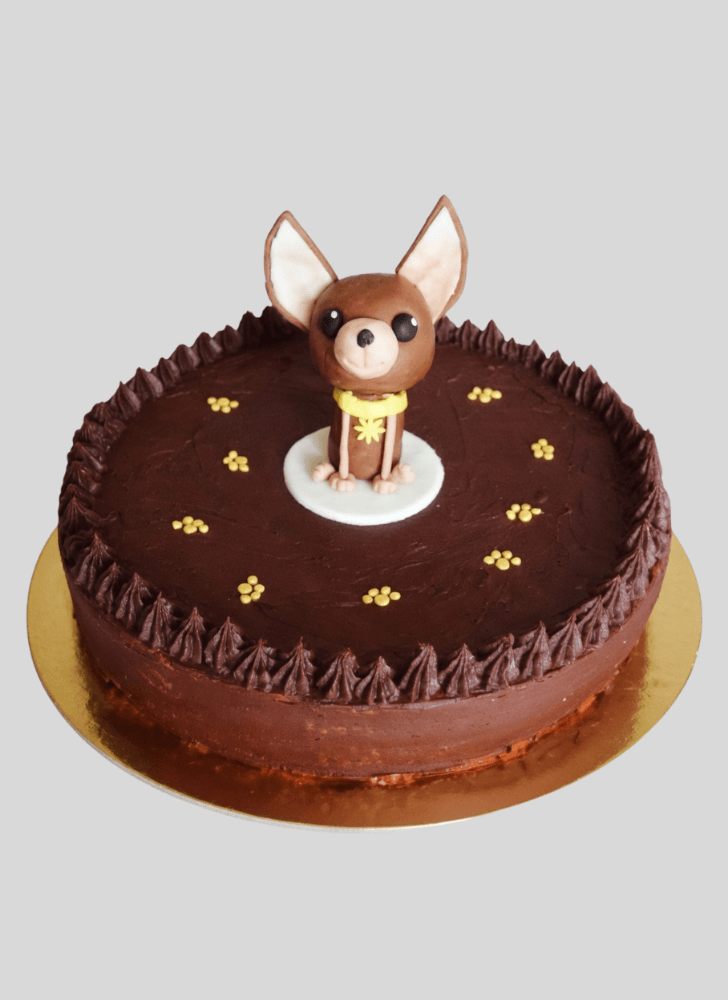 Handsome Chihuahua Cake