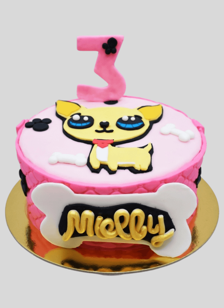 Ideal Chihuahua Cake