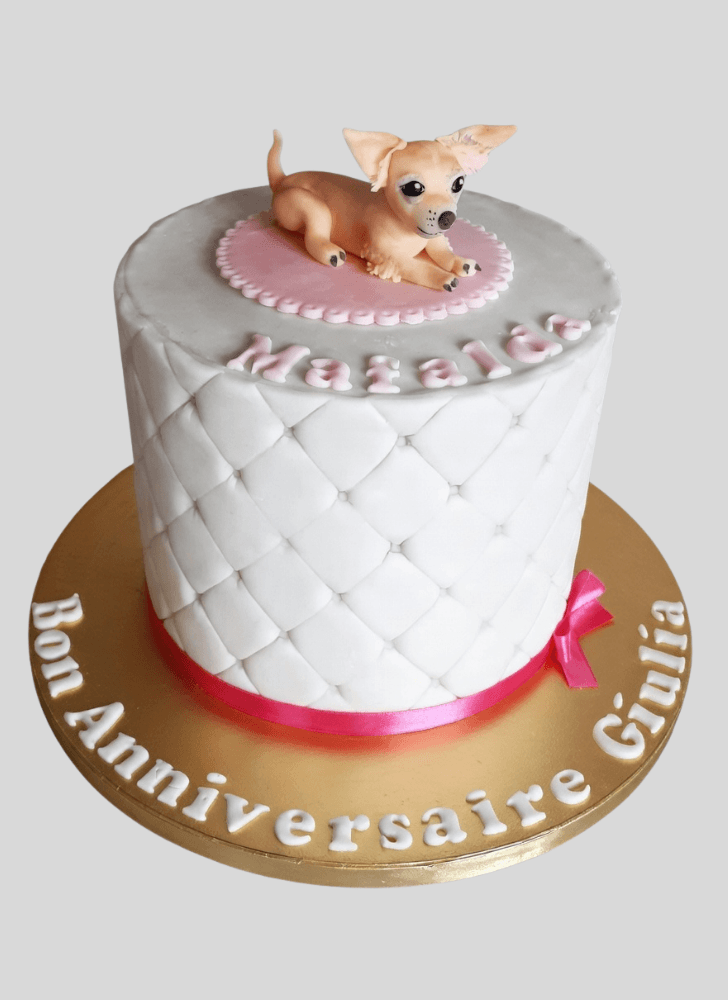 Magnetic Chihuahua Cake