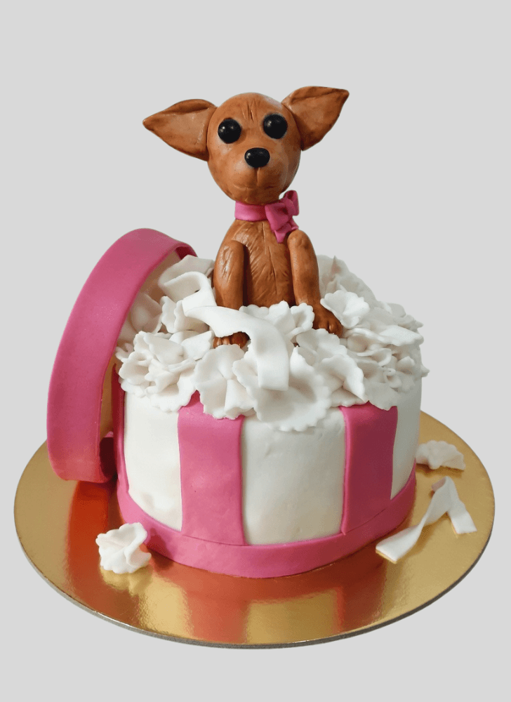 Mesmeric Chihuahua Cake