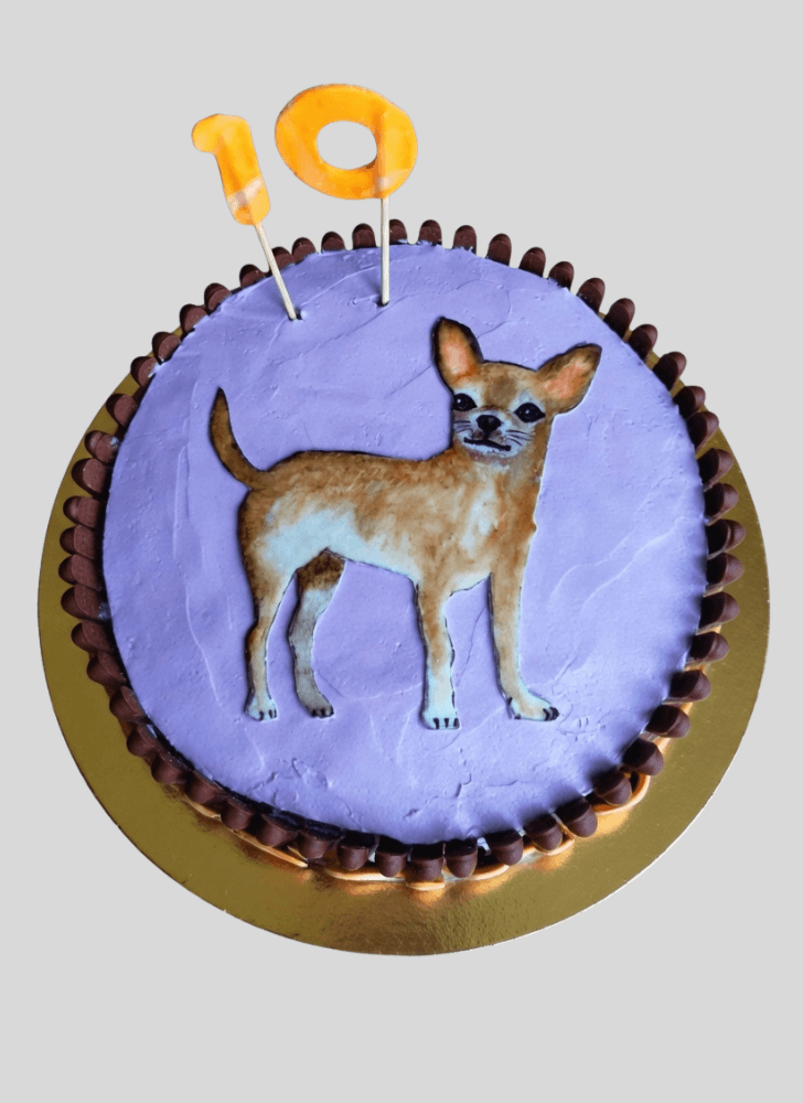 Nice Chihuahua Cake