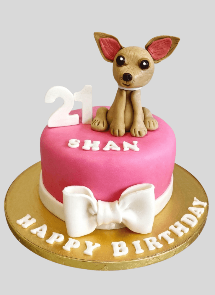 Pretty Chihuahua Cake