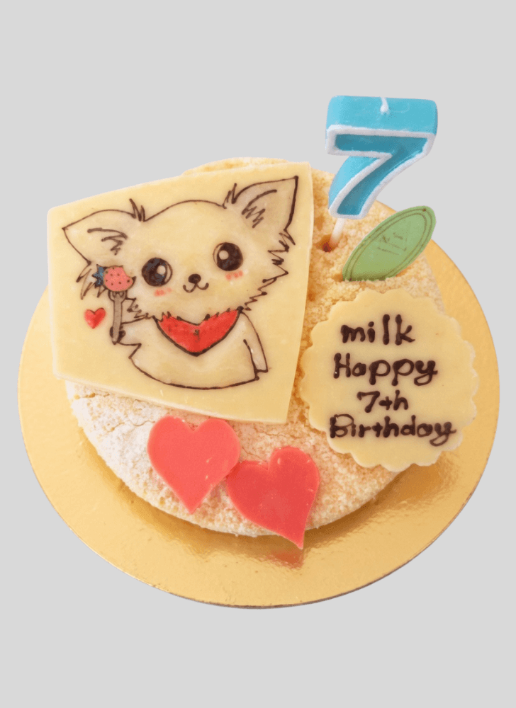 Radiant Chihuahua Cake