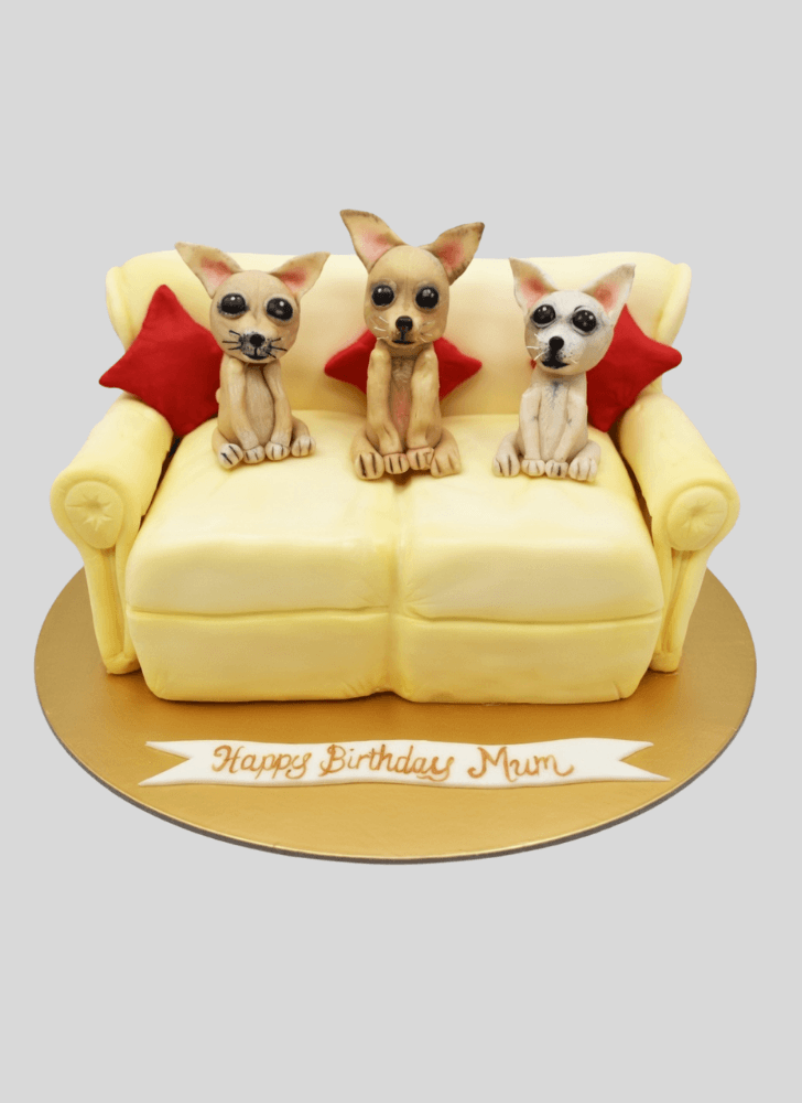 Refined Chihuahua Cake