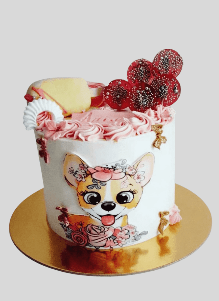 Splendid Chihuahua Cake