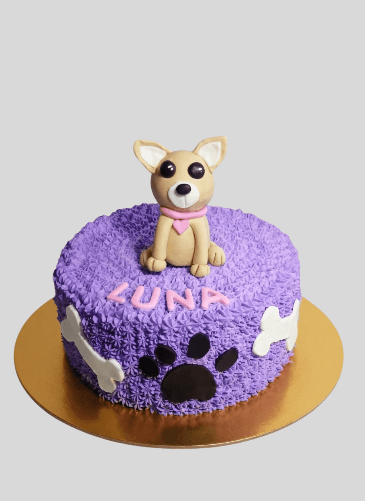 Stunning Chihuahua Cake