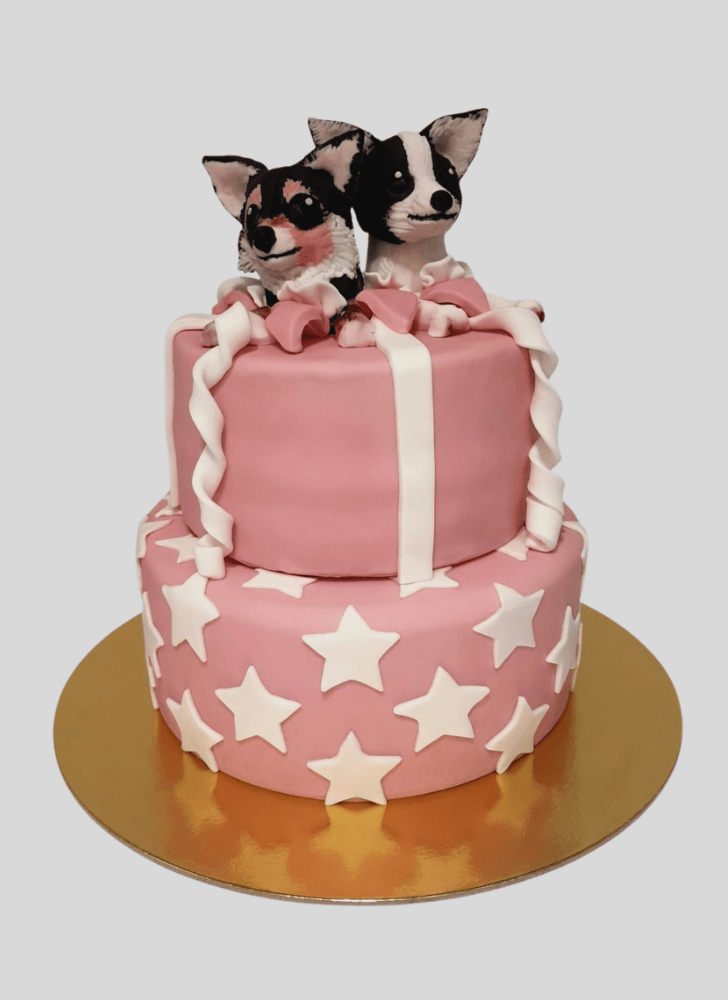 Superb Chihuahua Cake