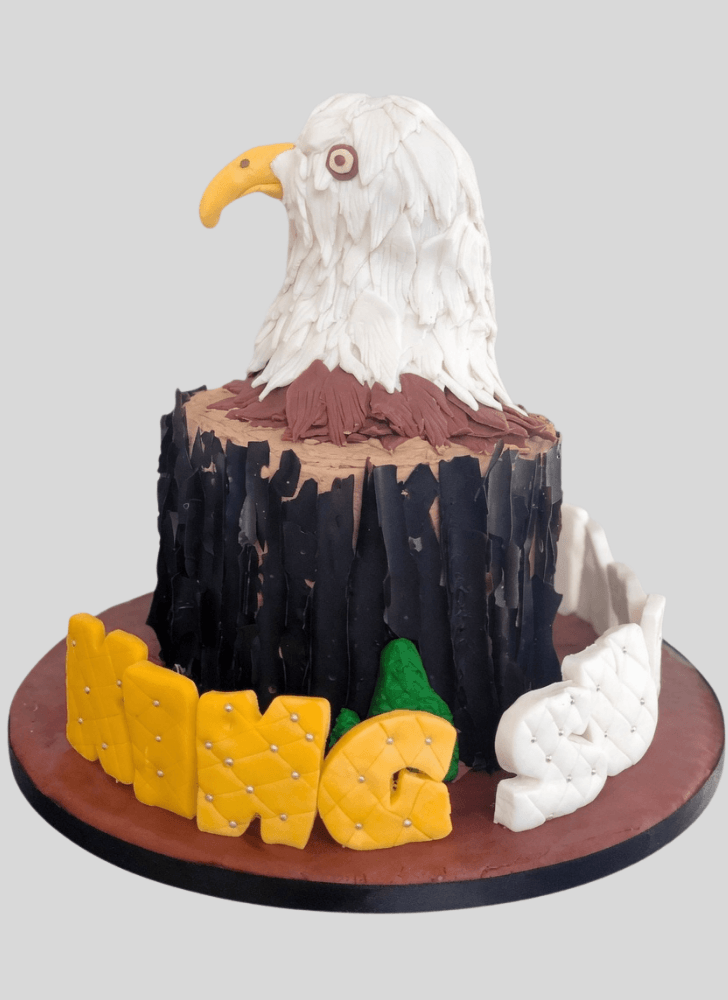 Nice Eagle Cake