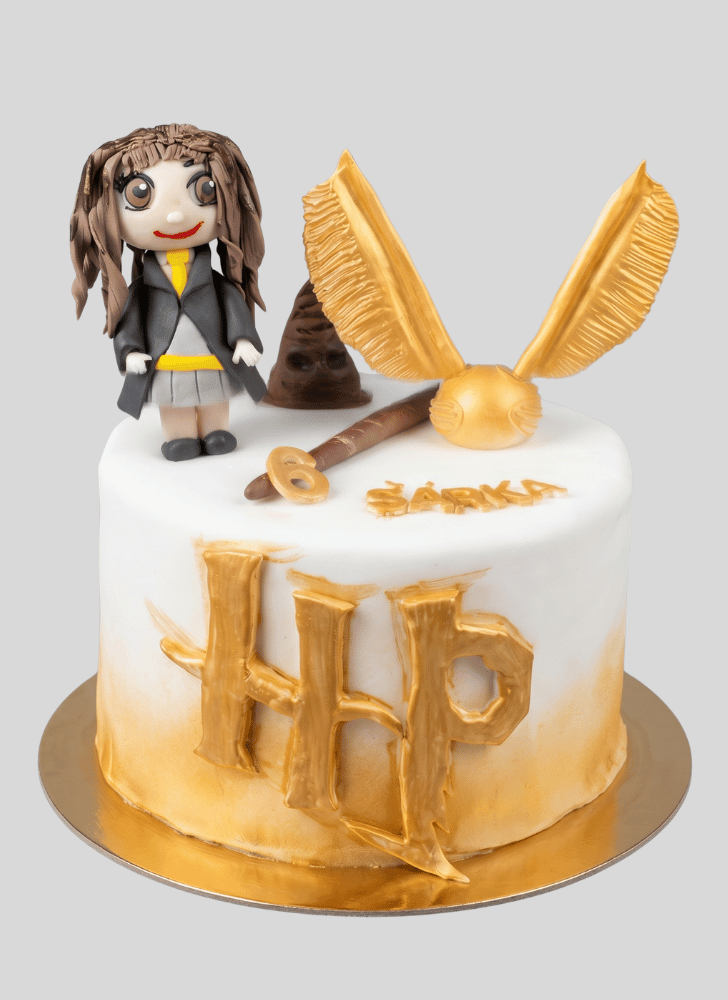 Appealing Hermione Granger Cake