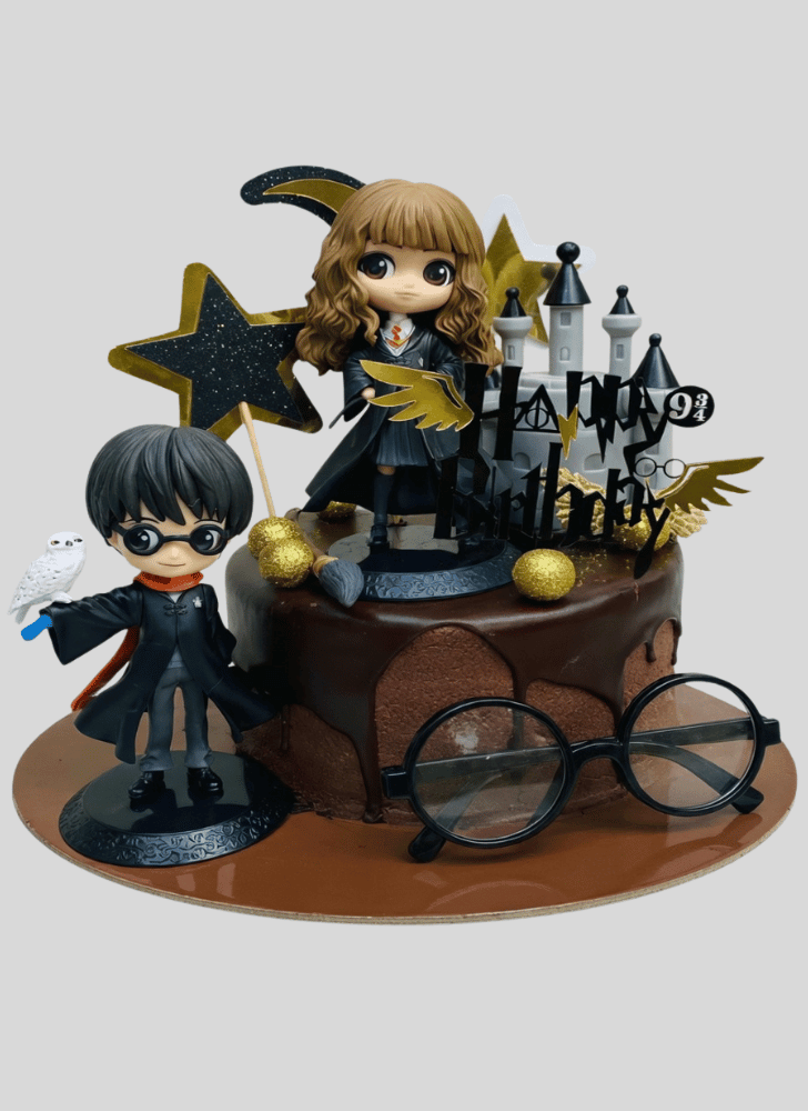 Comely Hermione Granger Cake