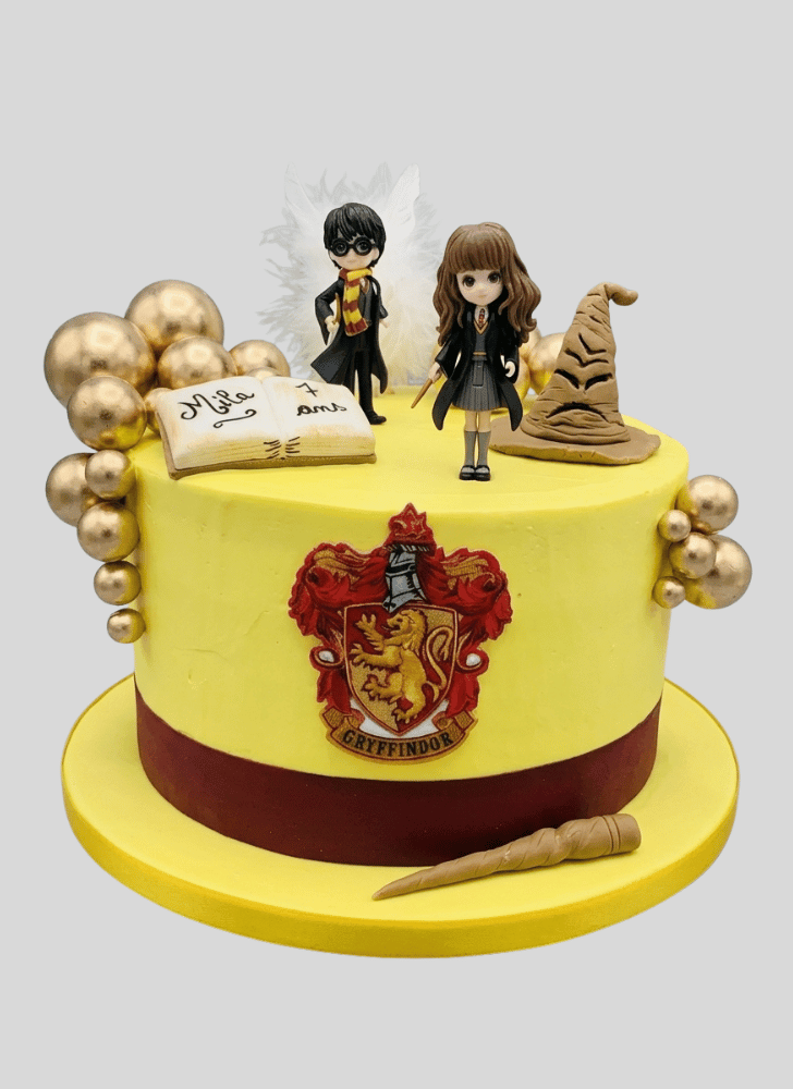 Excellent Hermione Granger Cake