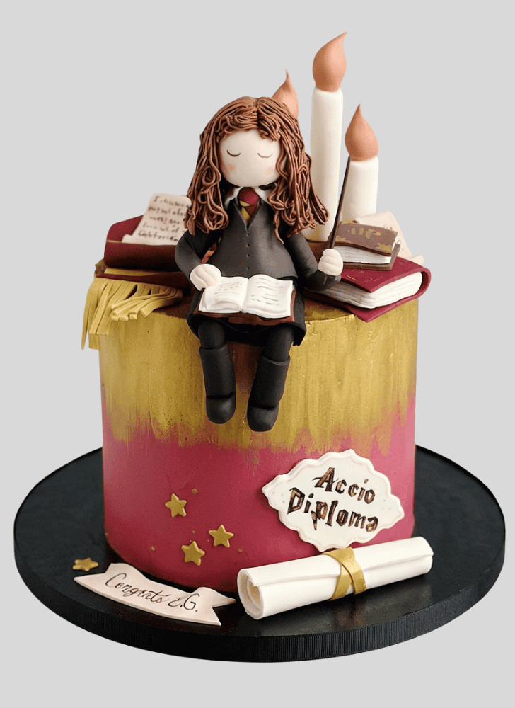 Exquisite Hermione Granger Cake