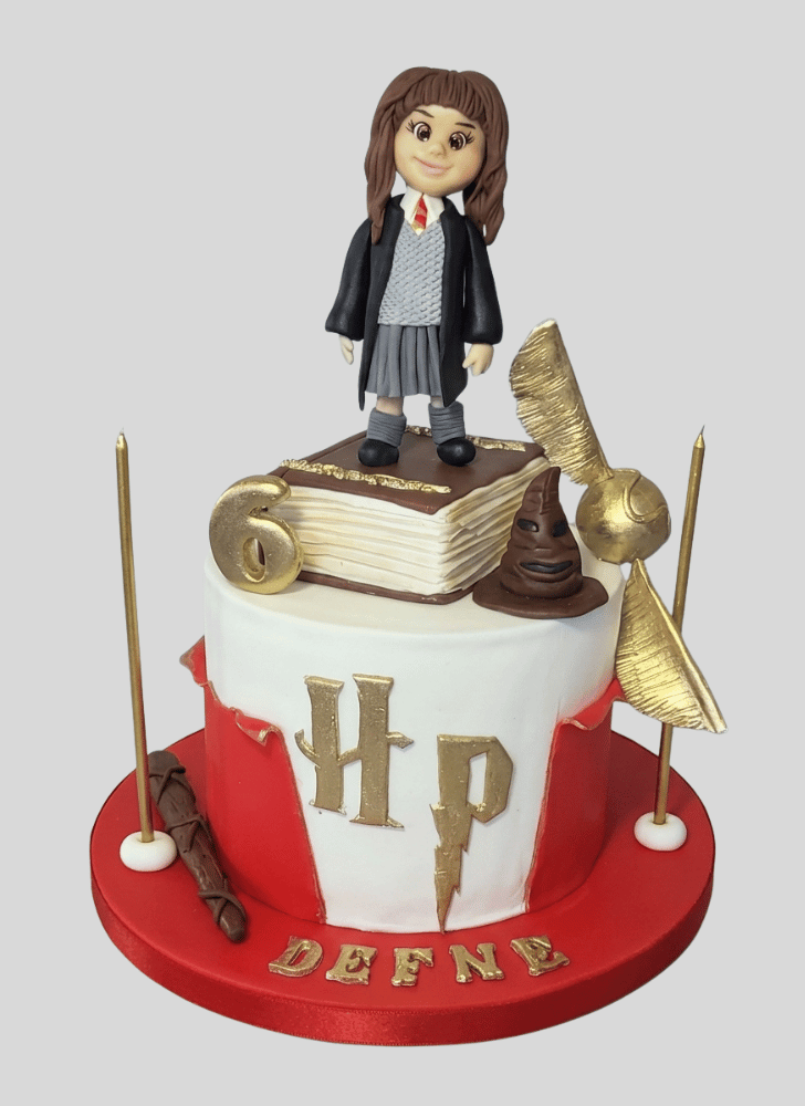 Ideal Hermione Granger Cake