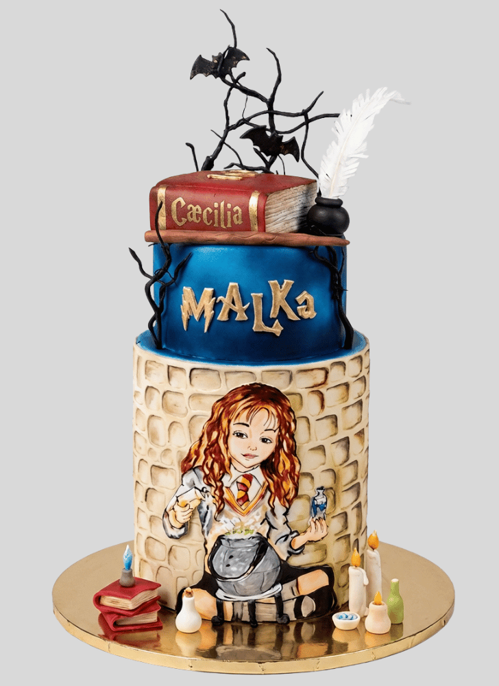 Slightly Hermione Granger Cake