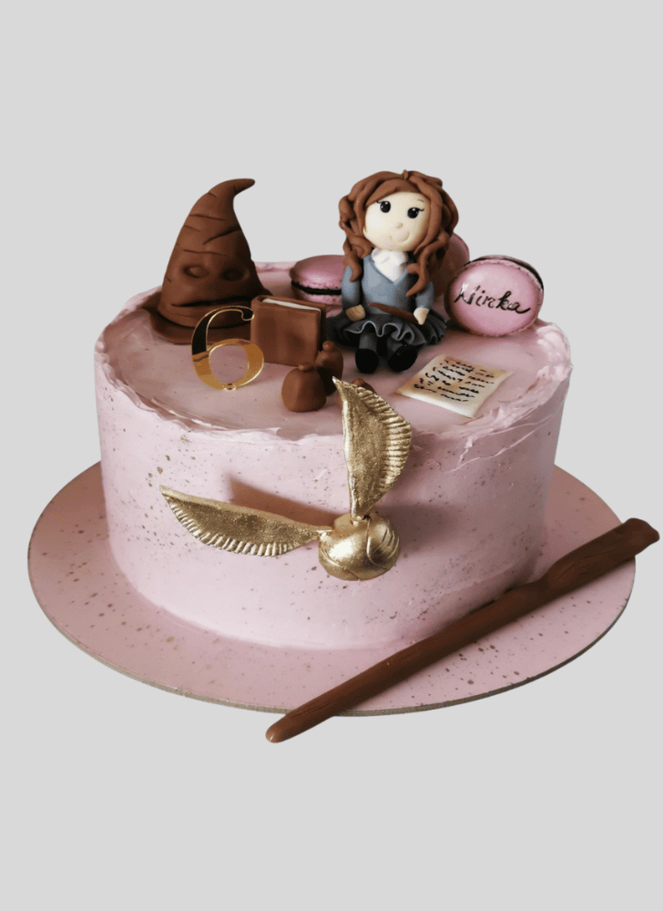Stunning Hermione Granger Cake