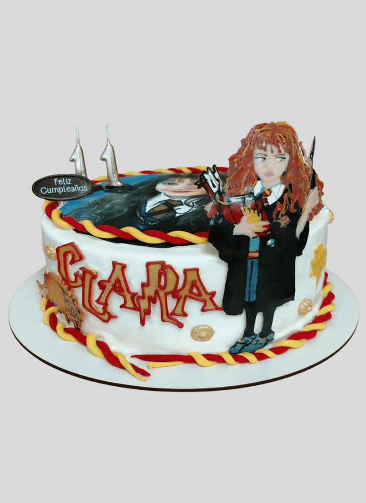 Superb Hermione Granger Cake