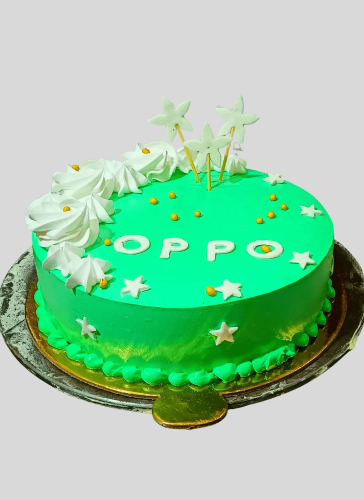 Appealing Oppo Cake