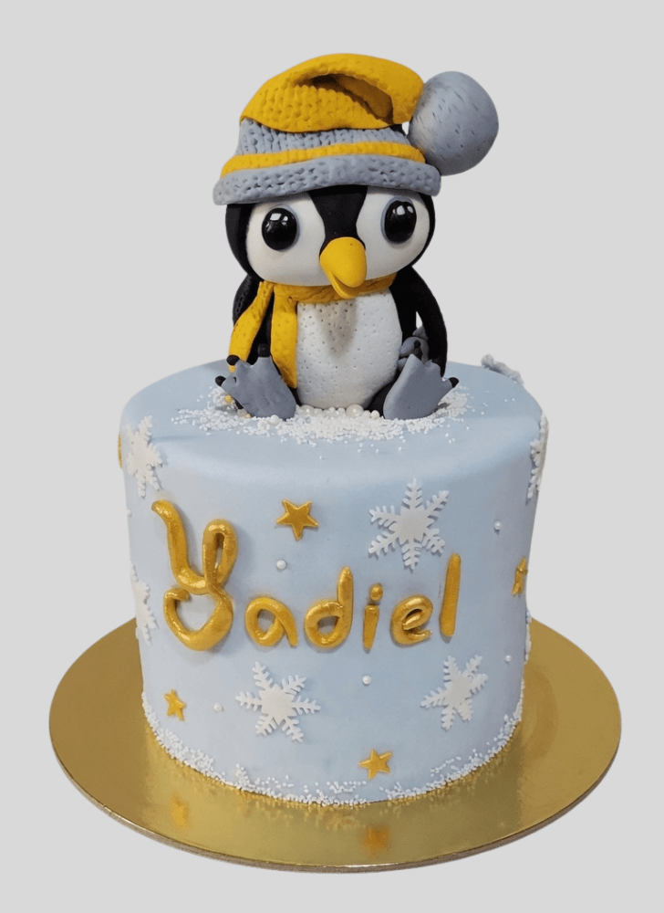Magnetic Penguin Cake