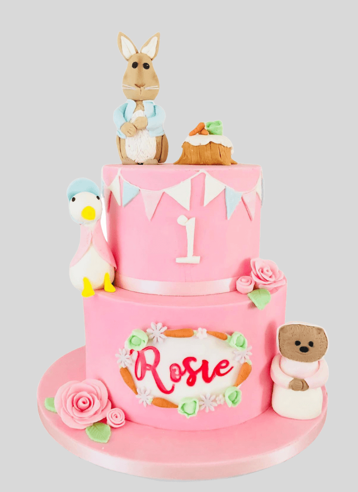 Enticing Peter Rabbit Cake