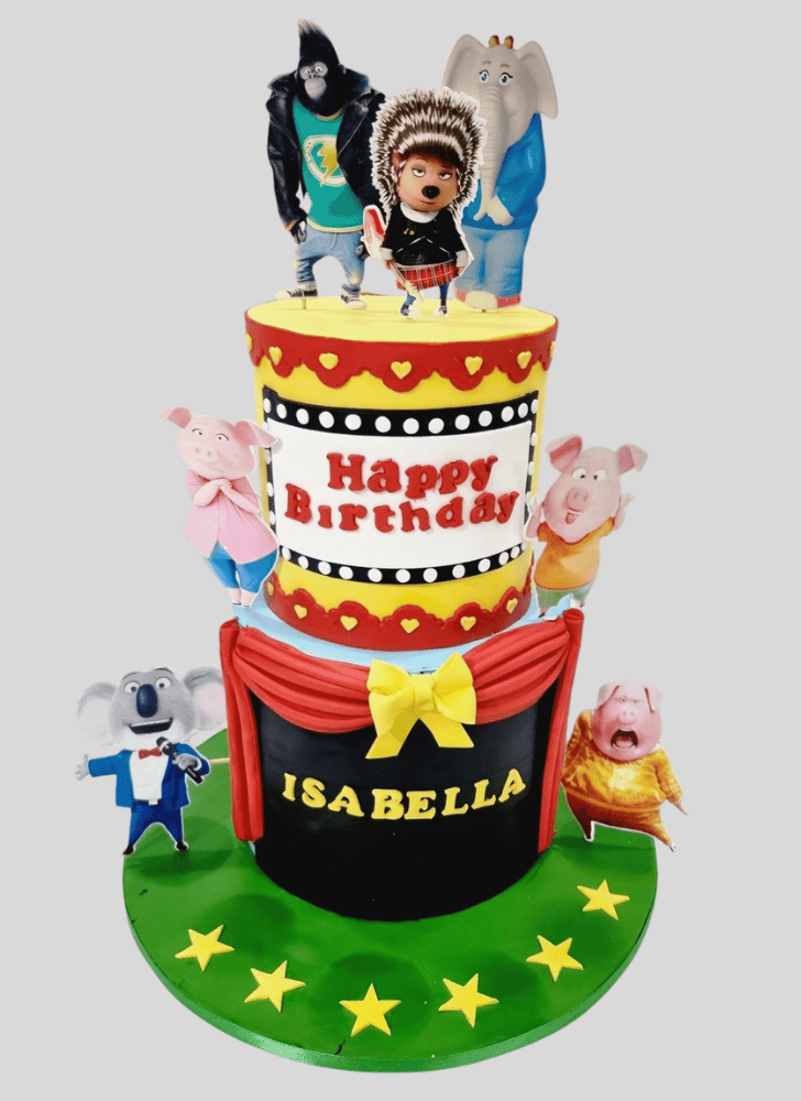 Exquisite Sing Movie Cake